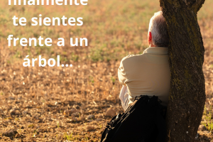hombre junto a árbol