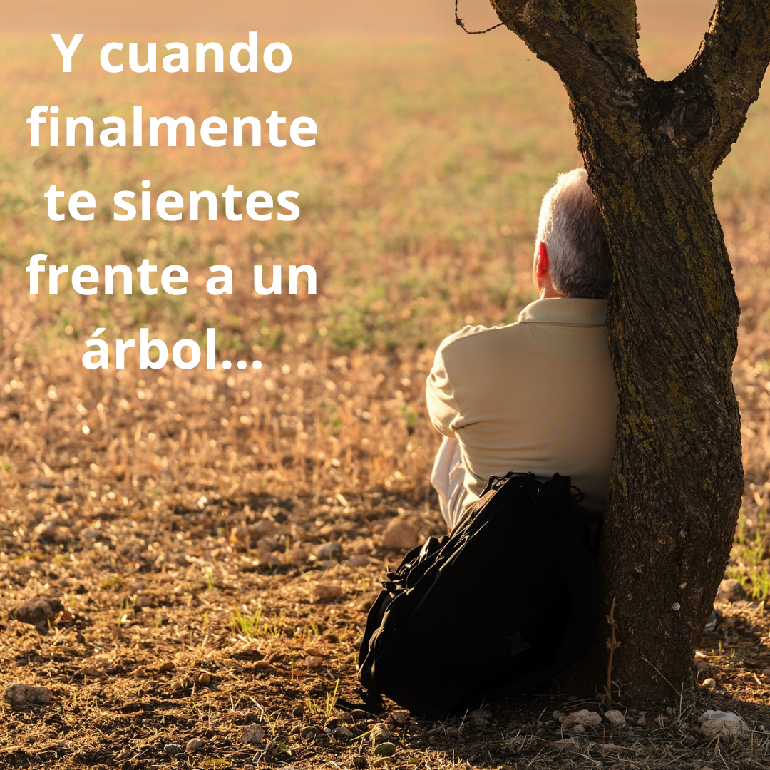 hombre junto a árbol