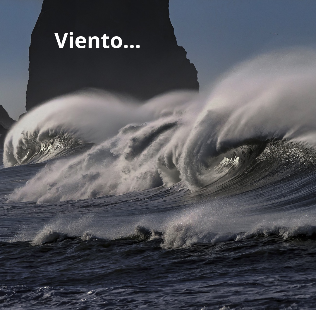 grandes olas en el mar