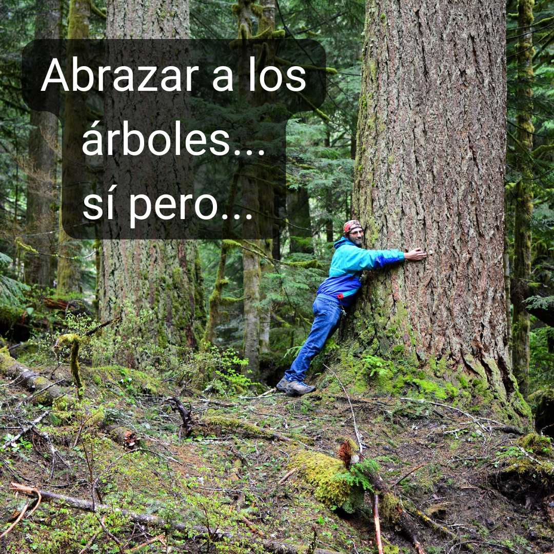hombre abrazando árbol