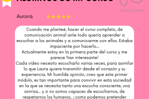 Esto piensan mis alumnos de mi curso (1)