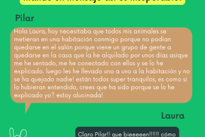 La satisfacción que da que una alumna me mande este mensaje es insuperable