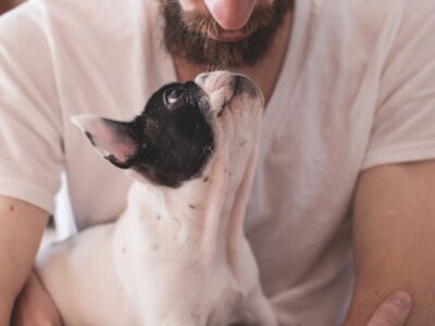 TALLER INTRODUCCIÓN A CASOS DE ANIMALES CON PROBLEMAS